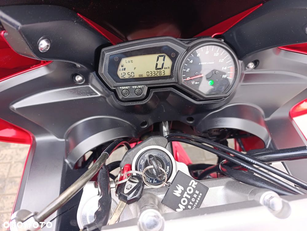 Yamaha FZ6 - 19