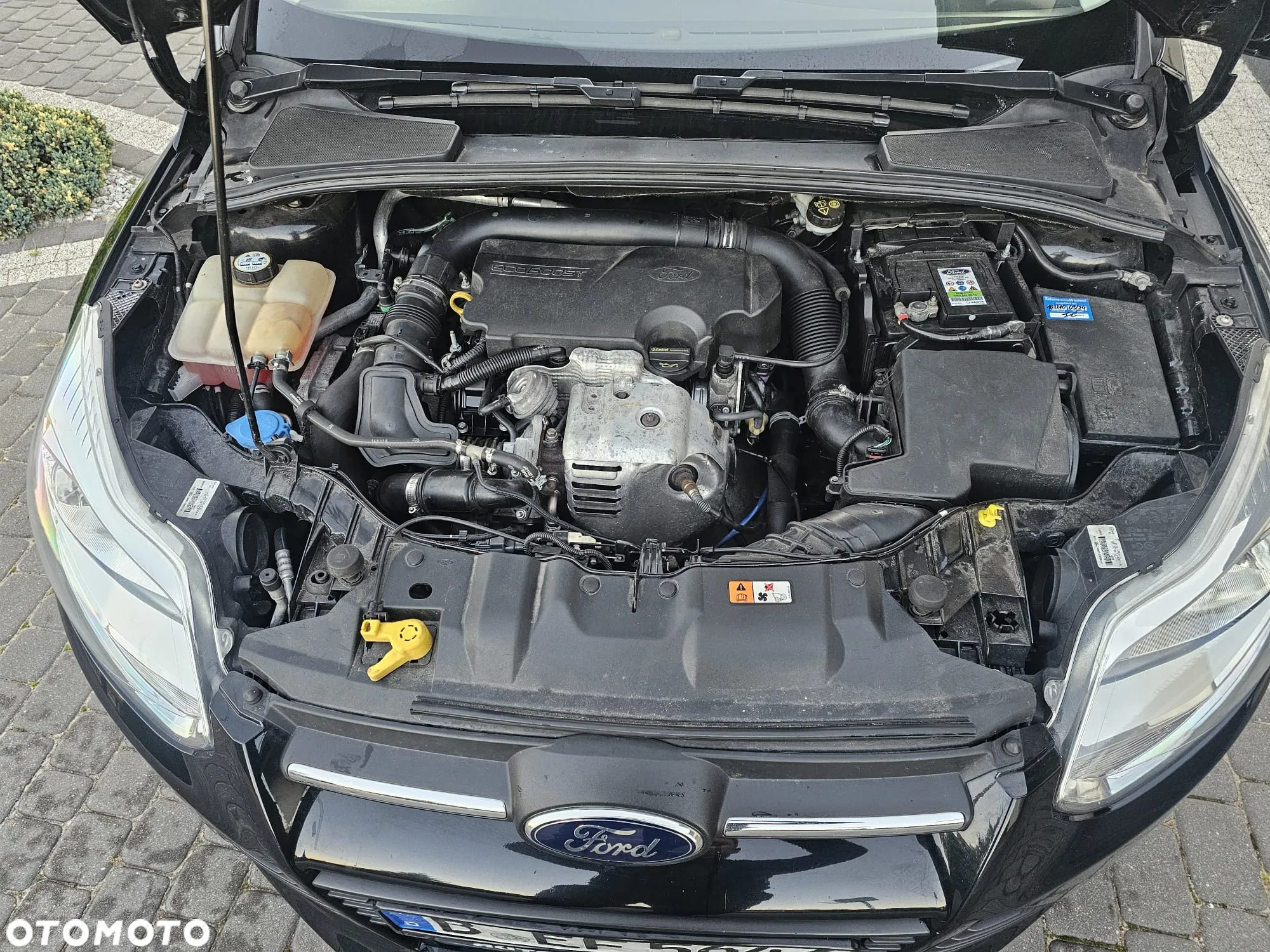 Ford Focus - 12