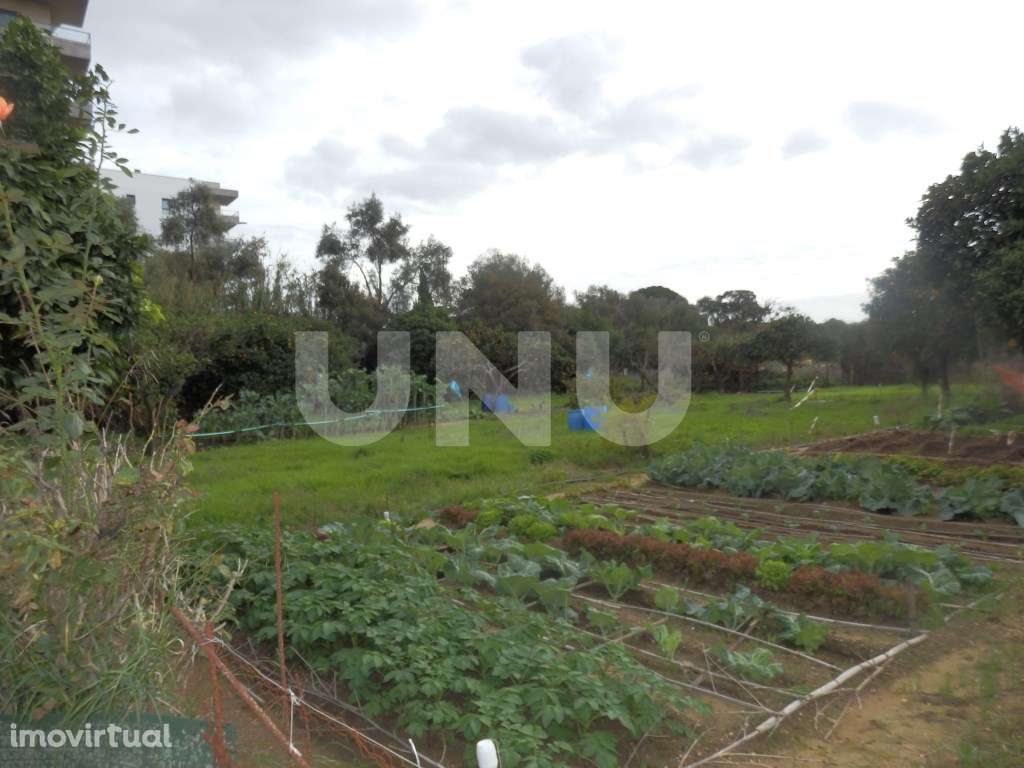 Terreno para loteamento - Grande imagem: 2/24