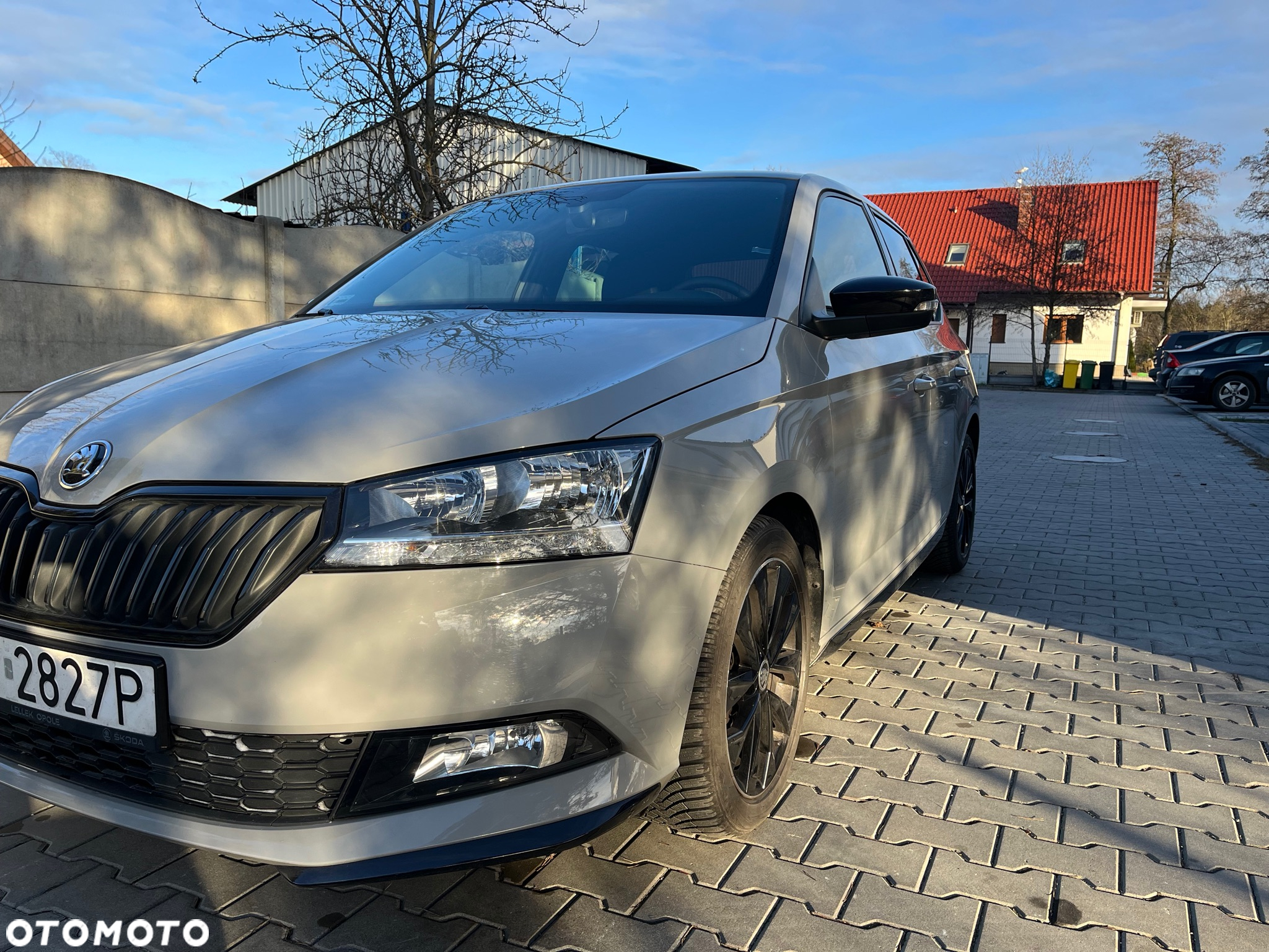 Skoda Fabia 1.0 TSI Monte Carlo DSG - 13