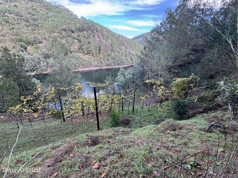 Terreno junto a Barragem de Albufeira da Caniçada, Gerês - Grande imagem: 2/10
