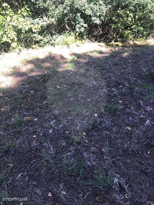 Terreno  para venda - Grande imagem: 2/12