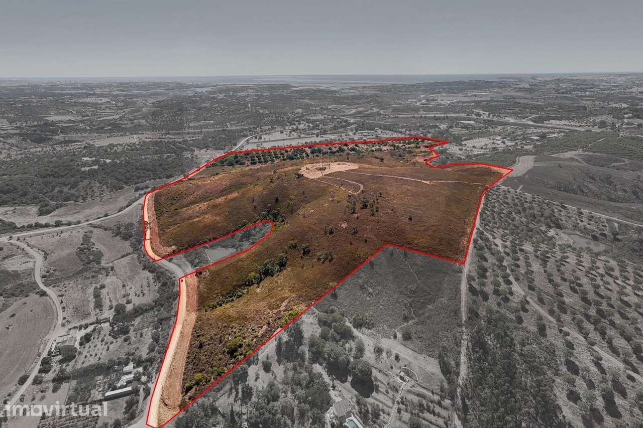 Terreno com aproximadamente 30 hectares junto à Mexilhoeira Grande – A - Grande imagem: 3/12