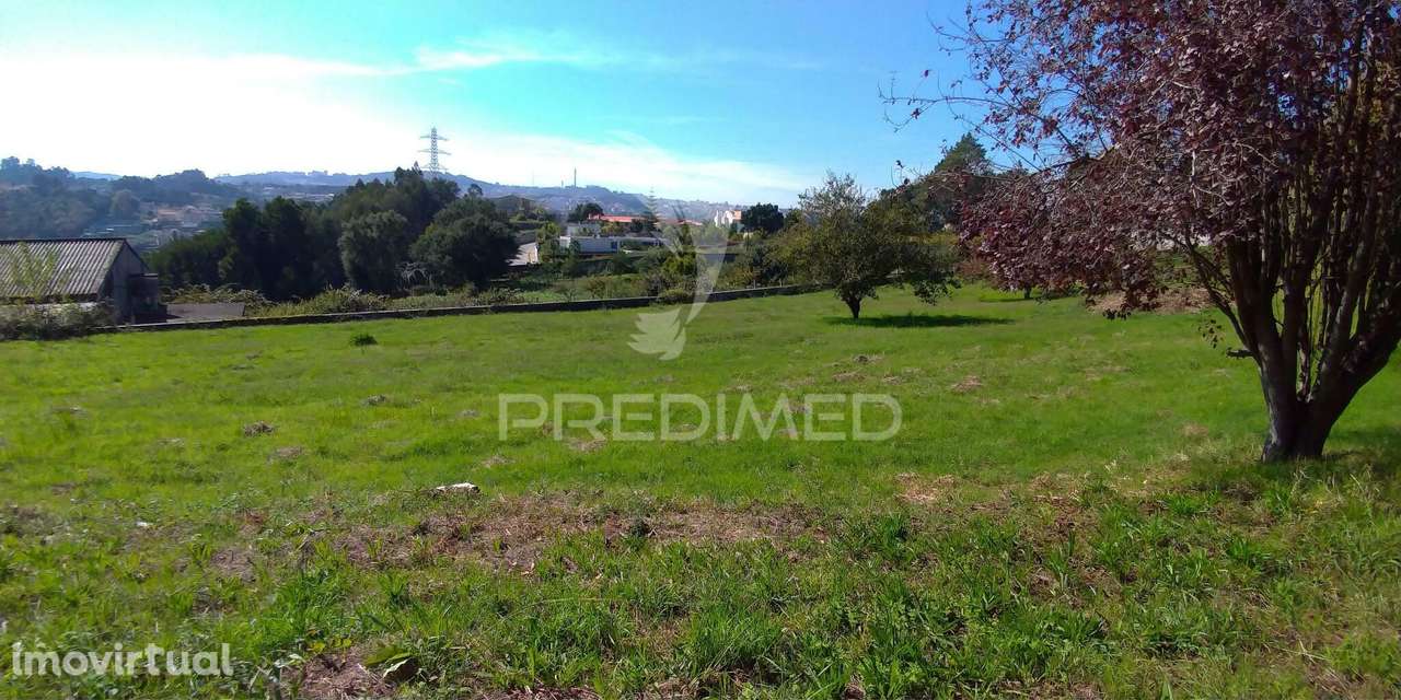 Terreno com vistas Douro (encosta do douro) - Grande imagem: 5/7