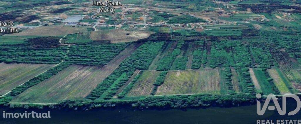 Terreno em Geraz Do Lima (Santa Maria, Santa Leocádia E Moreira) E Deã - Grande imagem: 4/4