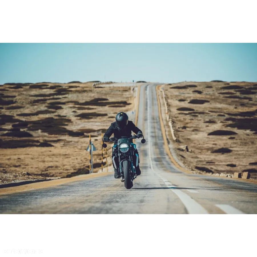 Husqvarna Svartpilen - 10