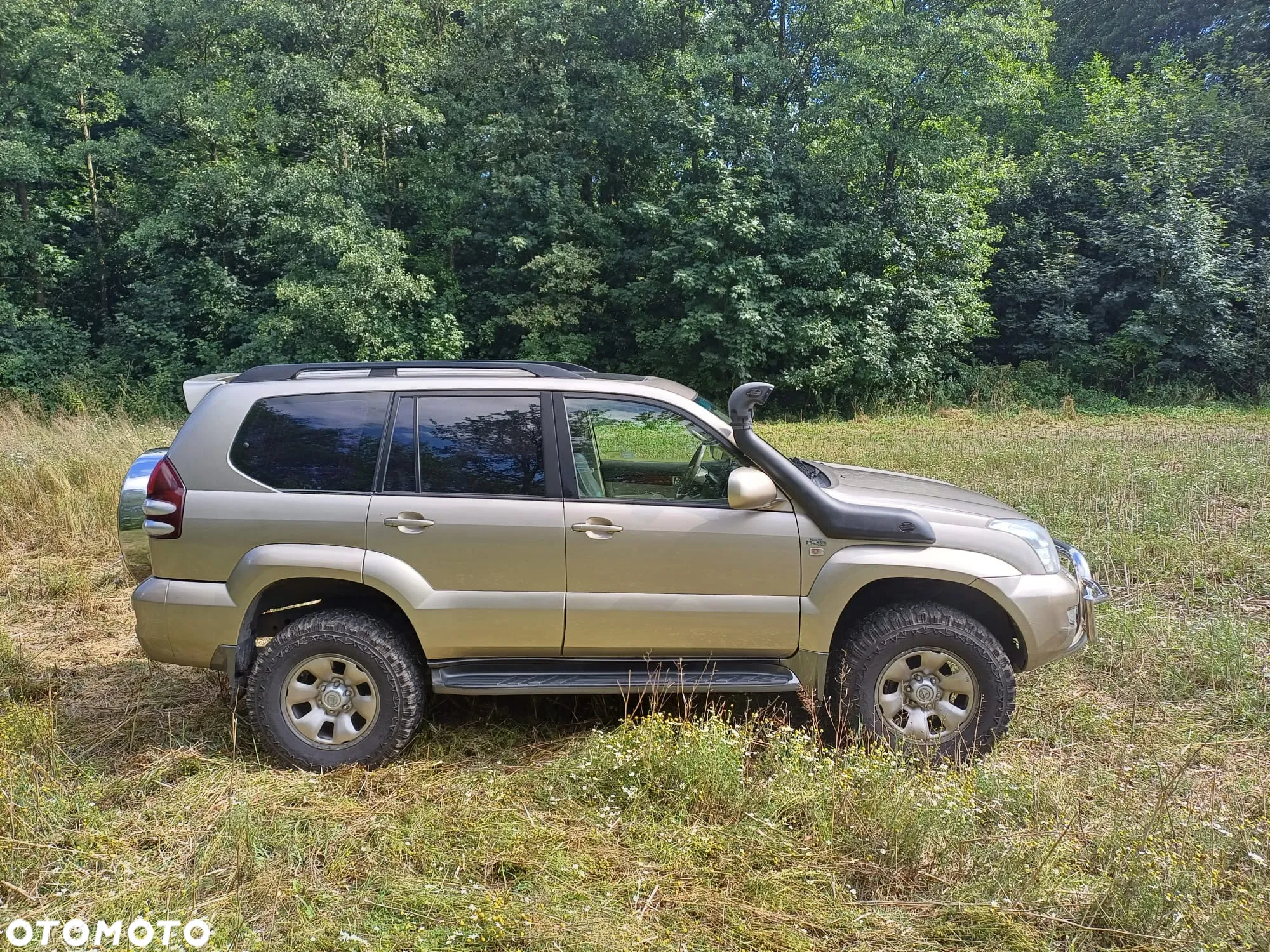 Toyota Land Cruiser 3.0 D Sol Navi - 14