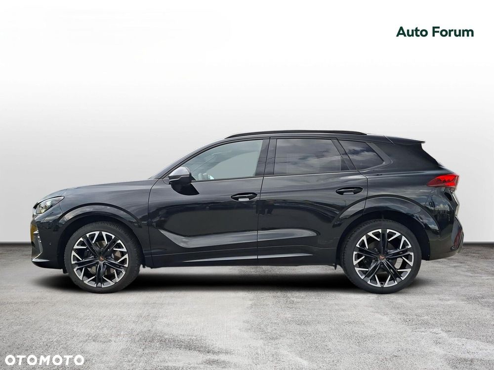 Cupra Terramar - 2