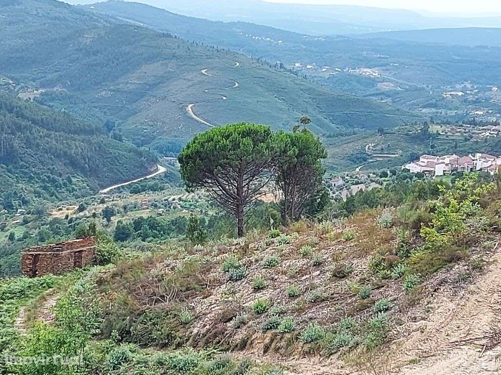 Venda Terreno - Grande imagem: 5/9