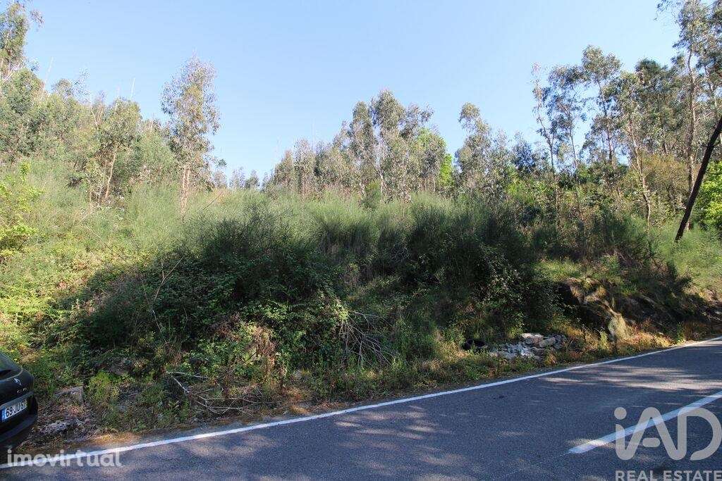 Terreno Agrícola em Lemenhe, Mouquim e Jesufrei - Grande imagem: 2/8