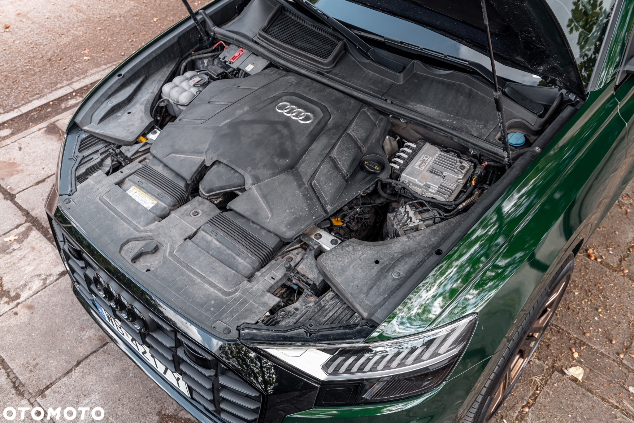 Audi Q8 - 30