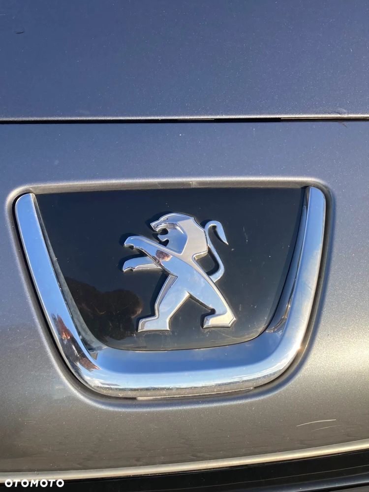 Peugeot 308 - 18