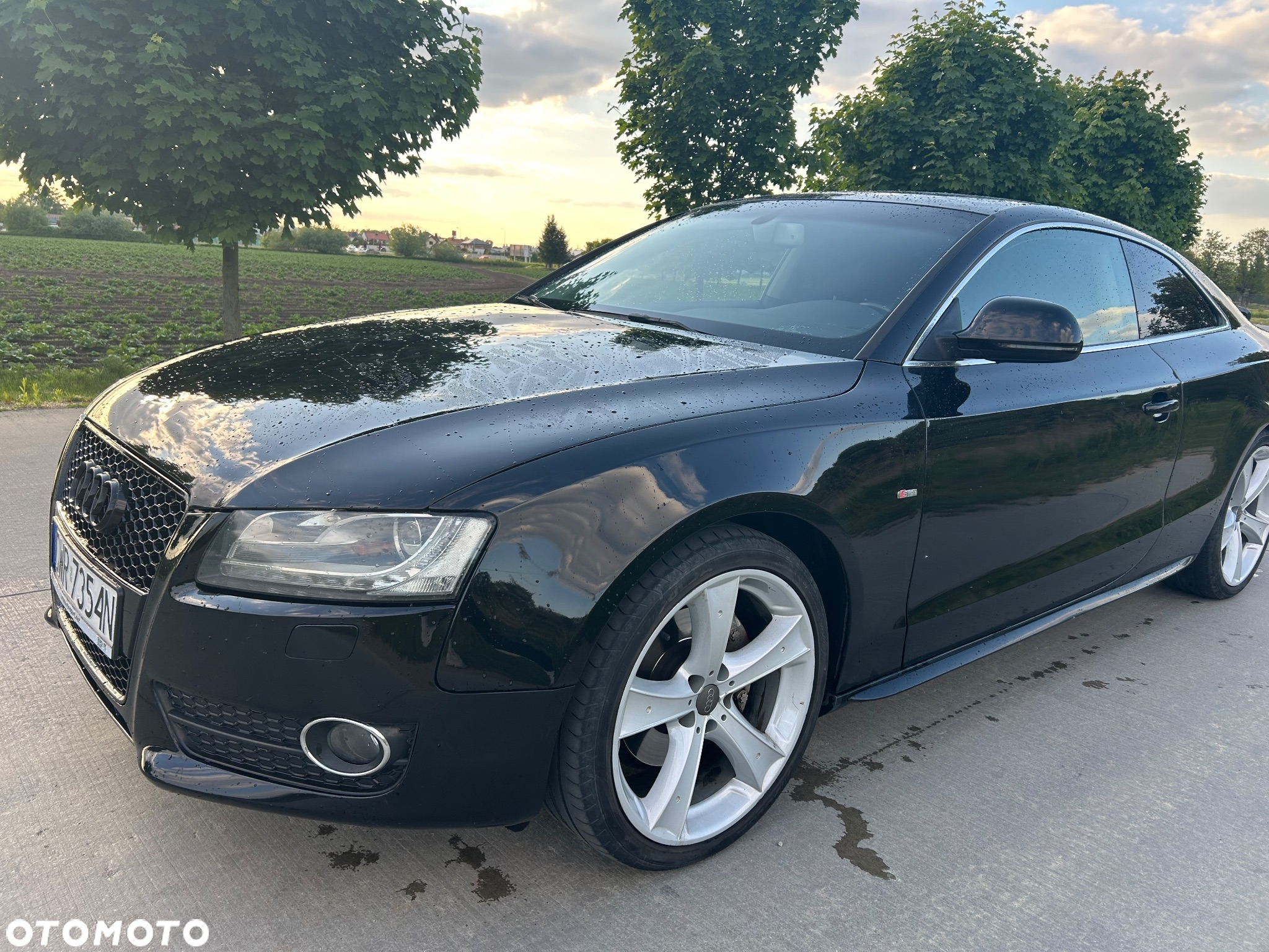 Audi A5 2.7 TDI Multitronic - 5