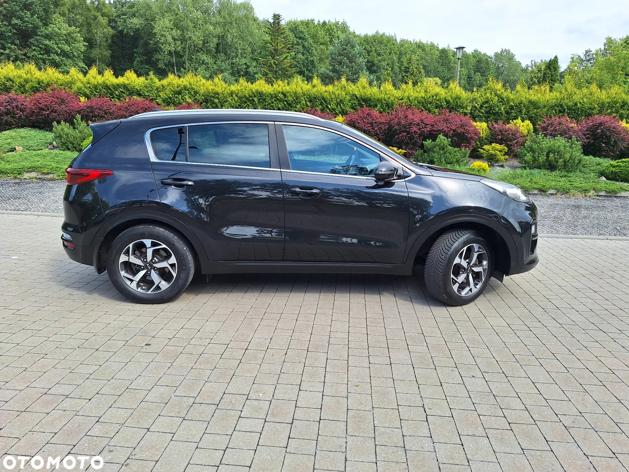 Kia Sportage 1.6 GDI L Business Line 2WD - 20