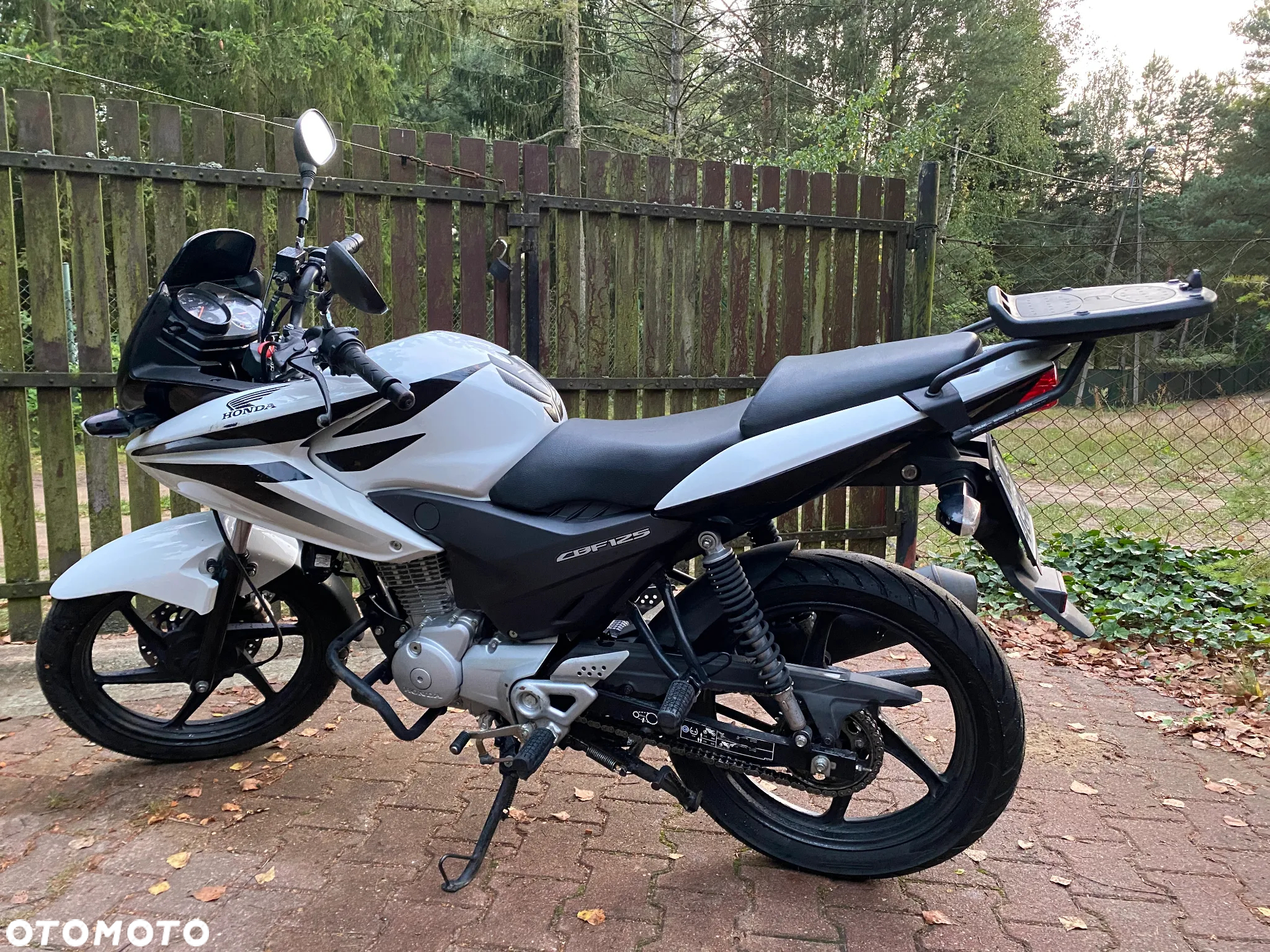 Honda CBF - 3