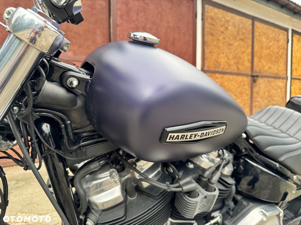 Harley-Davidson Softail Standard - 10