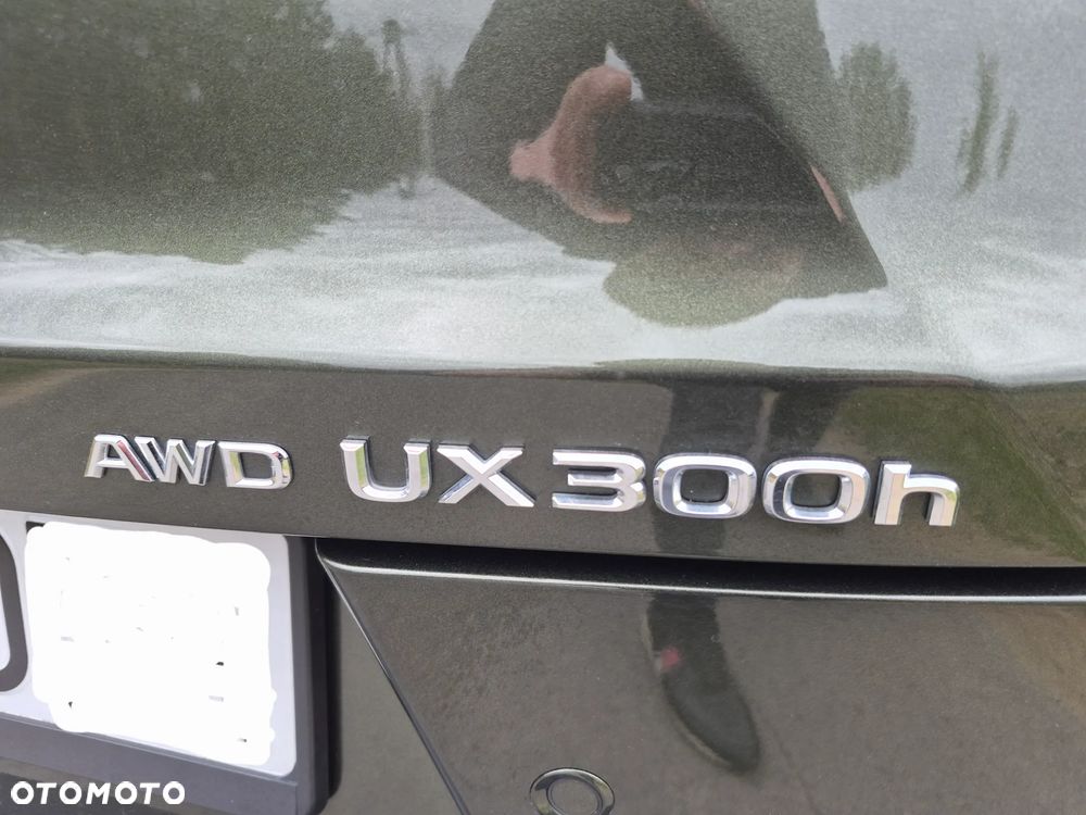 Lexus UX 300h F Sport Design AWD - 18