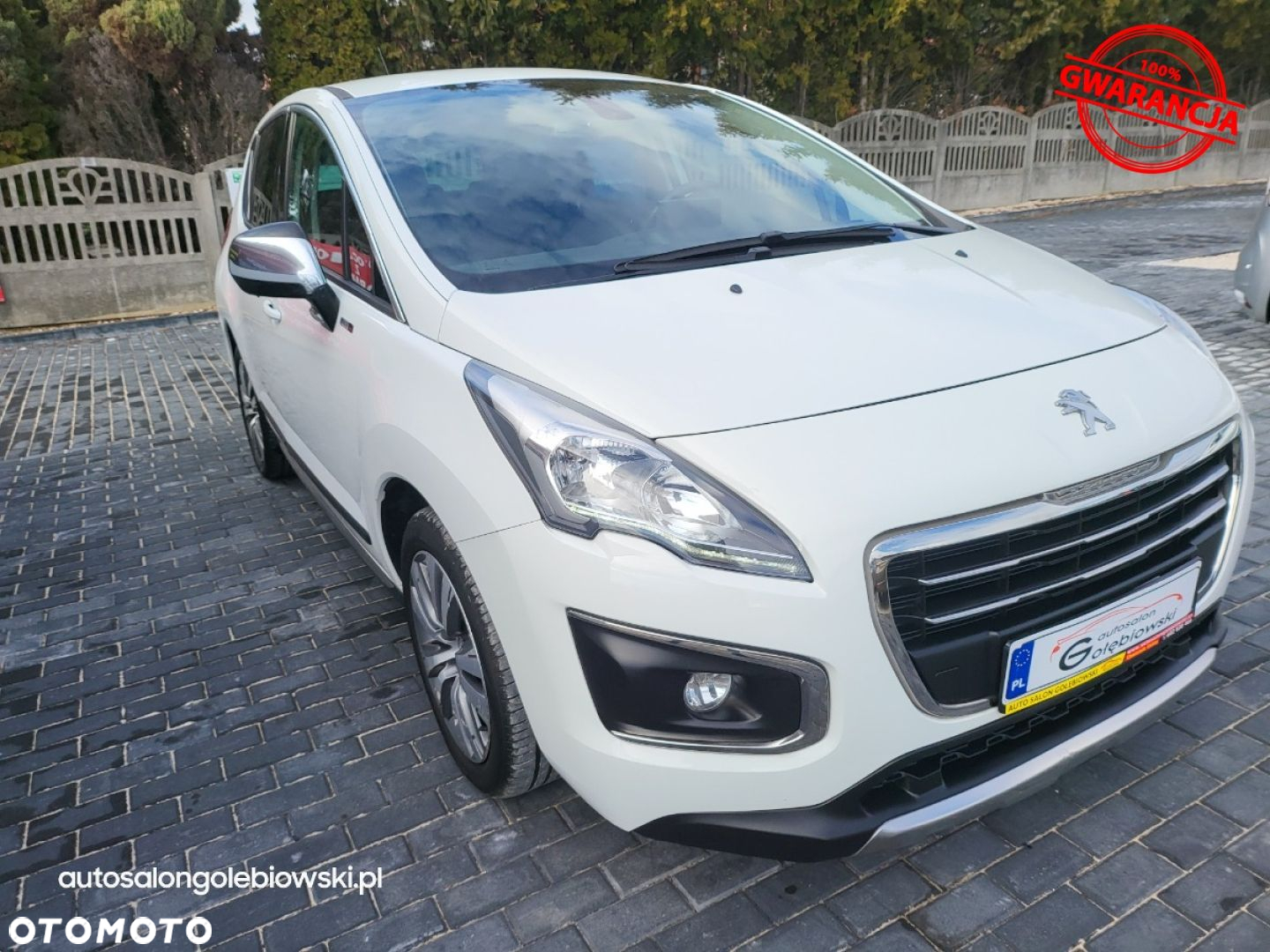 Peugeot 3008 - 22