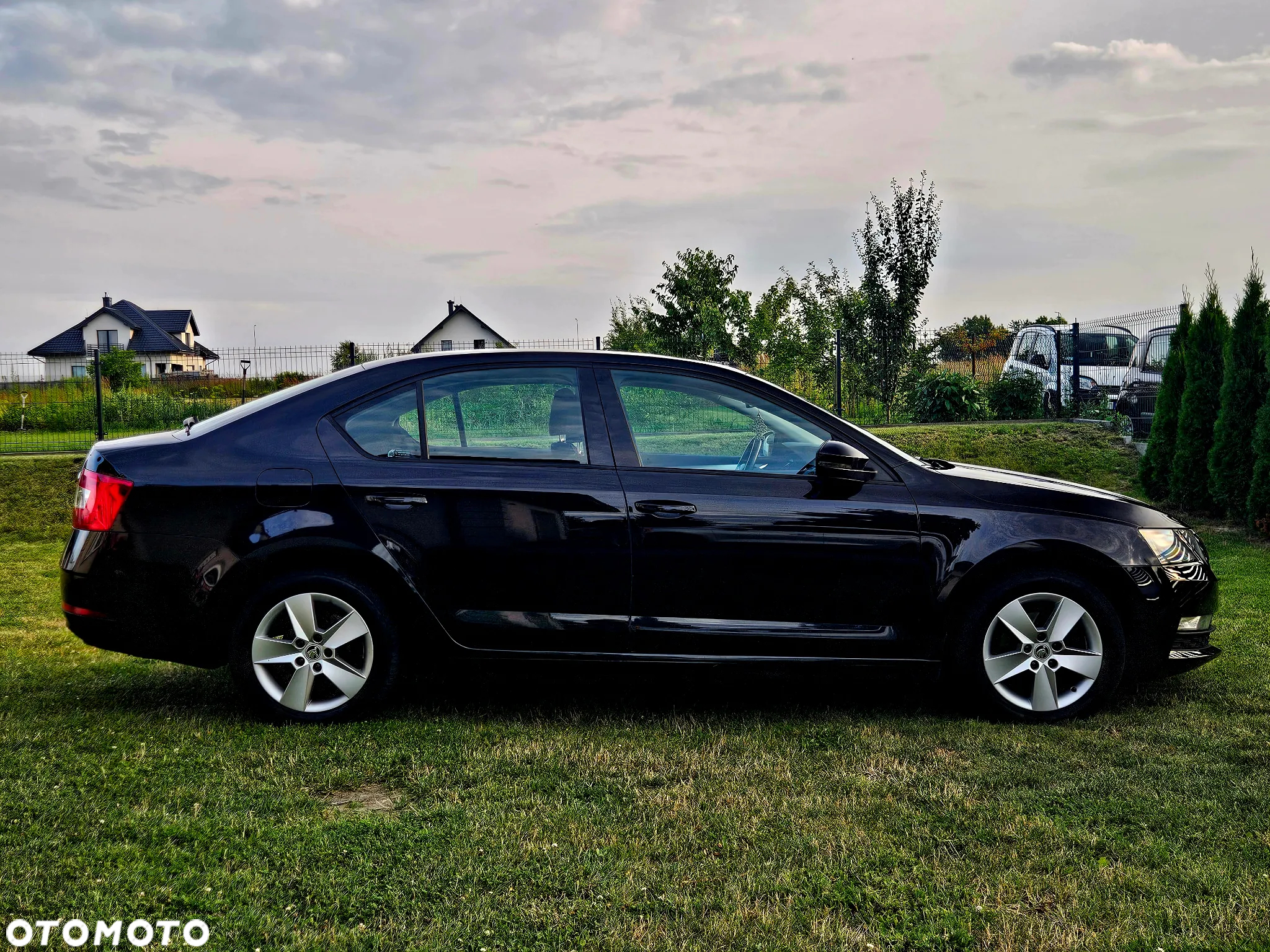Skoda Octavia 1.6 TDI Ambition DSG - 6