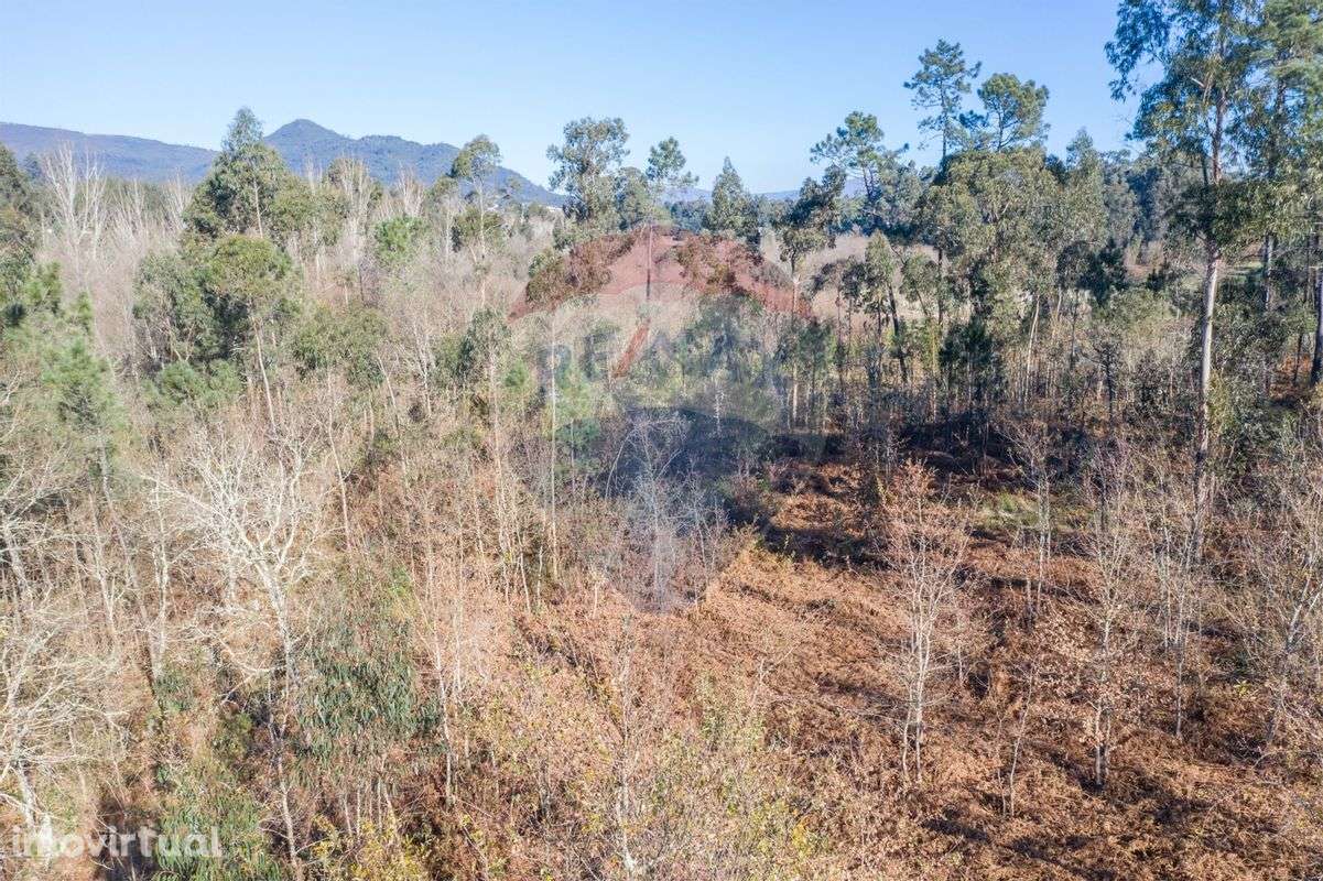 Terreno  para venda - Grande imagem: 4/11