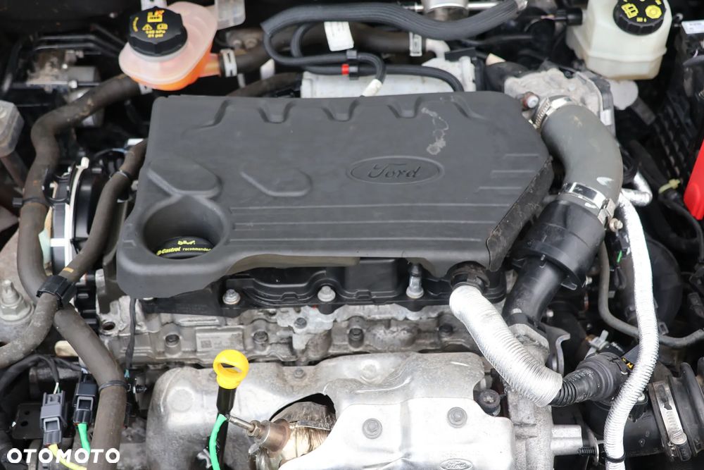 Ford Focus - 19