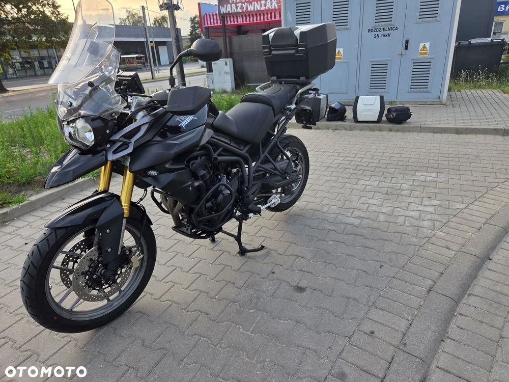 Triumph Tiger - 8