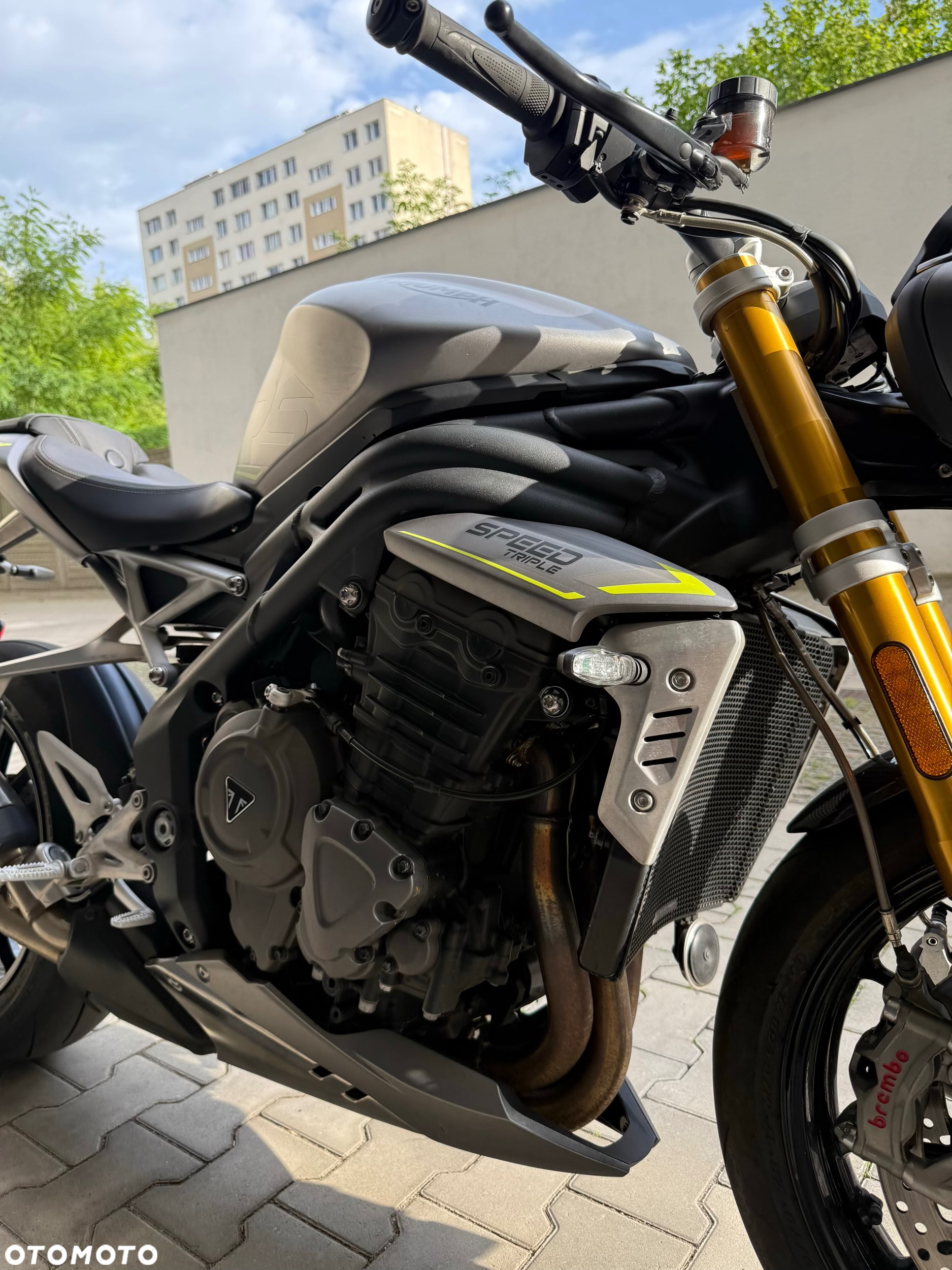 Triumph Speed Triple - 33