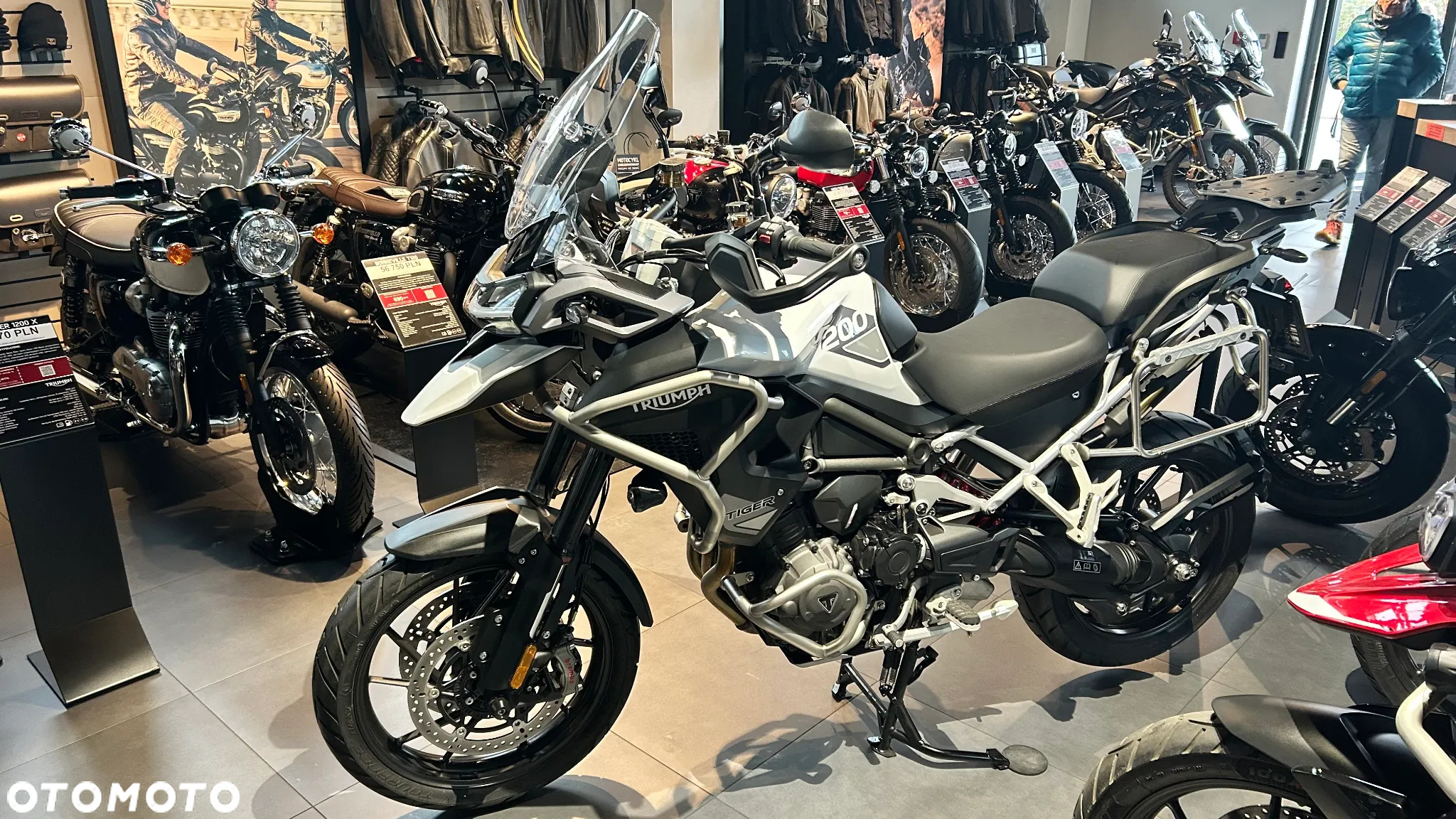 Triumph Tiger - 6
