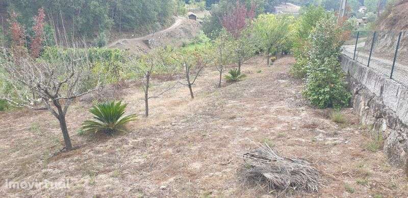 Quintinha terreno jazente Amarante - Grande imagem: 2/11