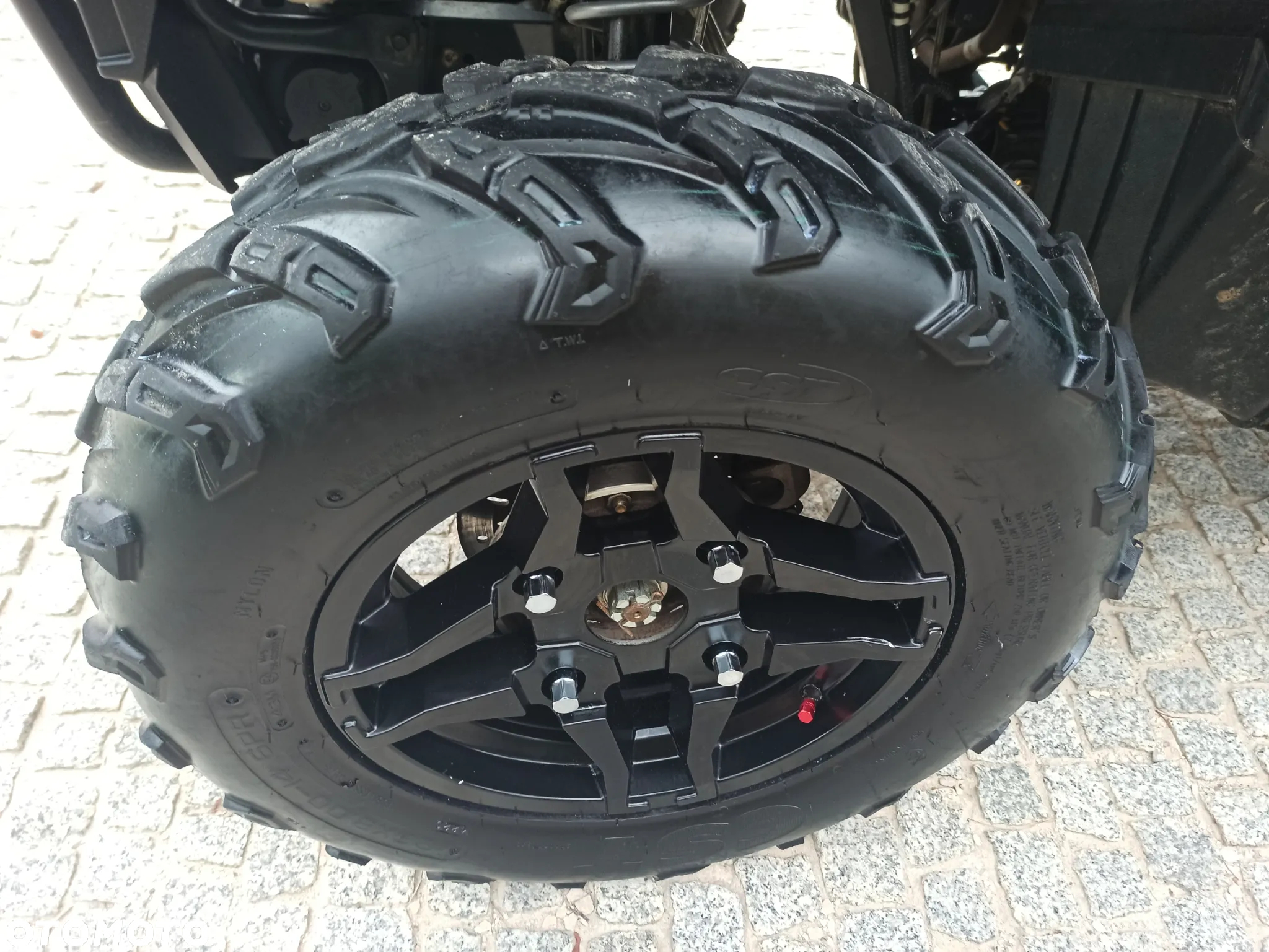 Polaris Sportsman - 11