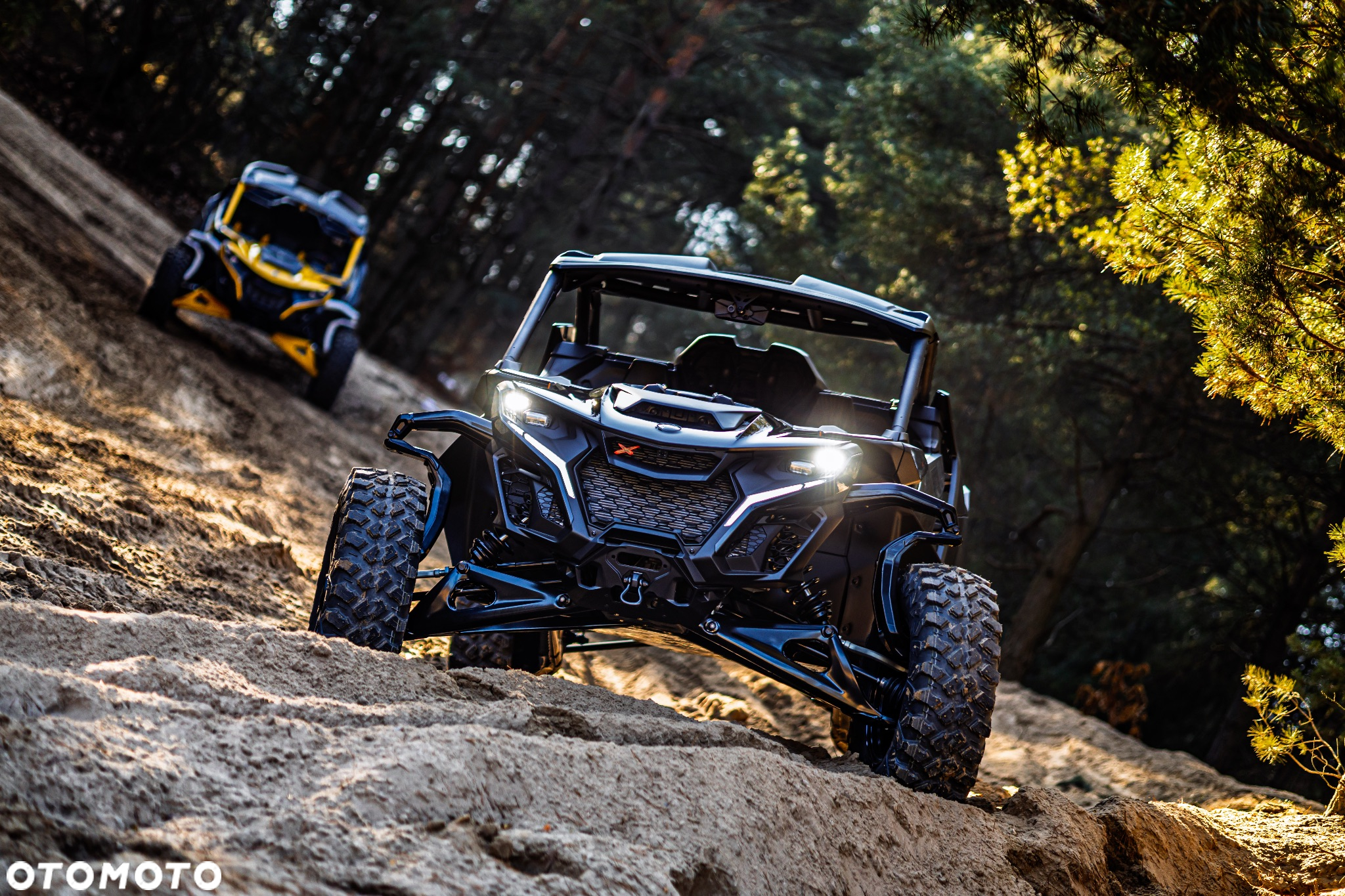 Can-Am Maverick - 17