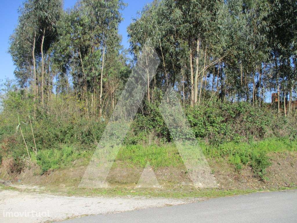 Terreno em Bustos - Grande imagem: 2/8