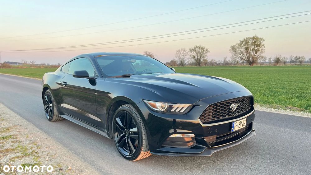 Ford Mustang 3.7 V6 - 20
