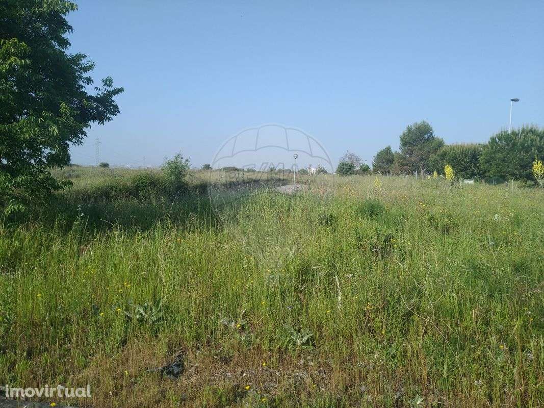 Terreno  para venda - Grande imagem: 5/16