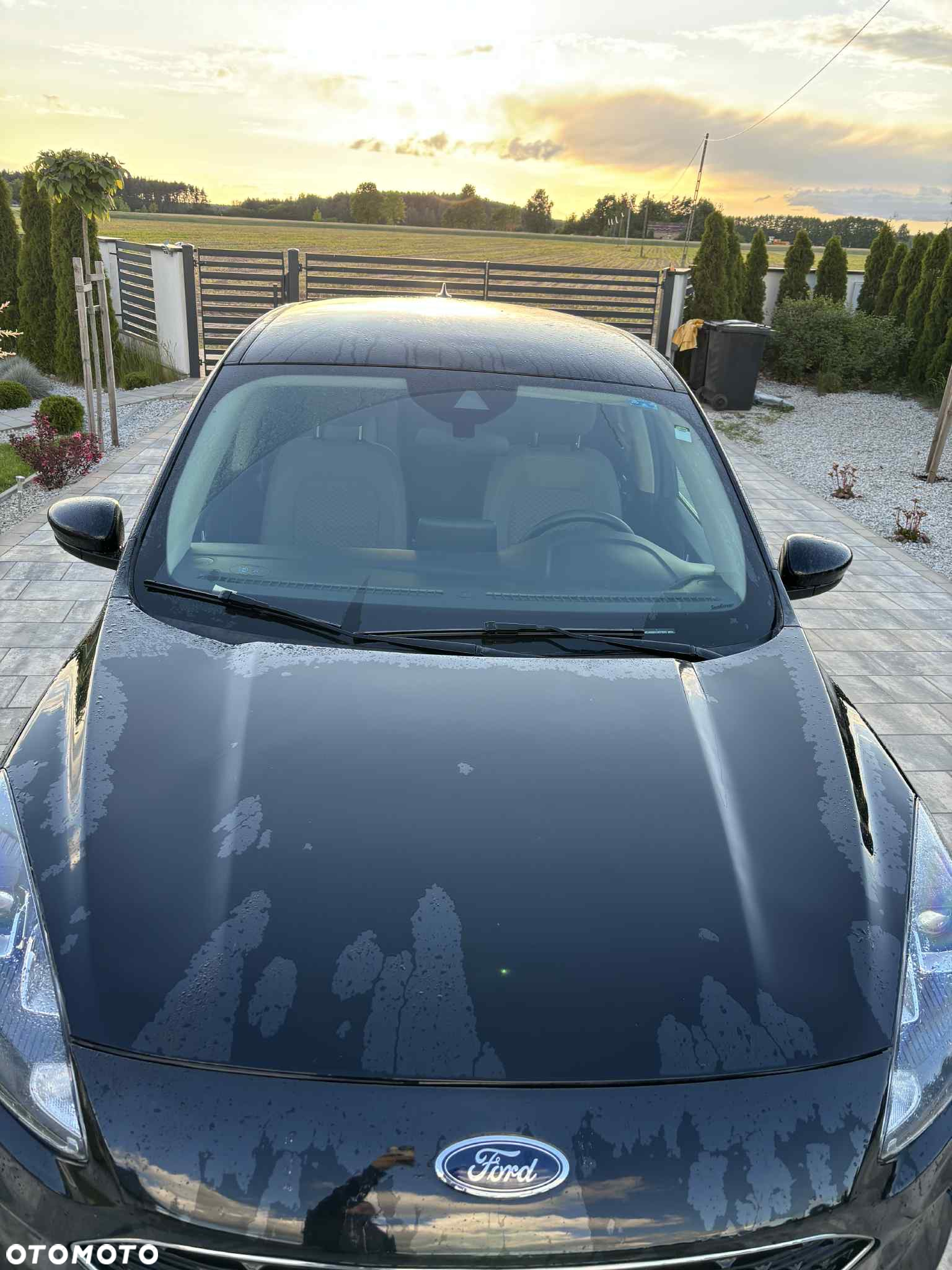 Ford Escape - 6