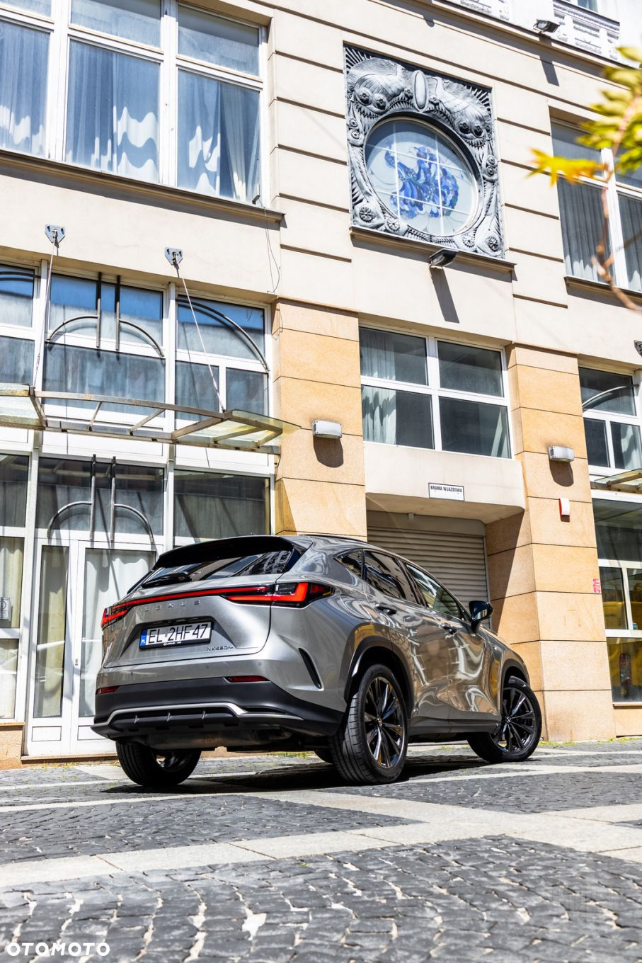 Lexus NX - 10