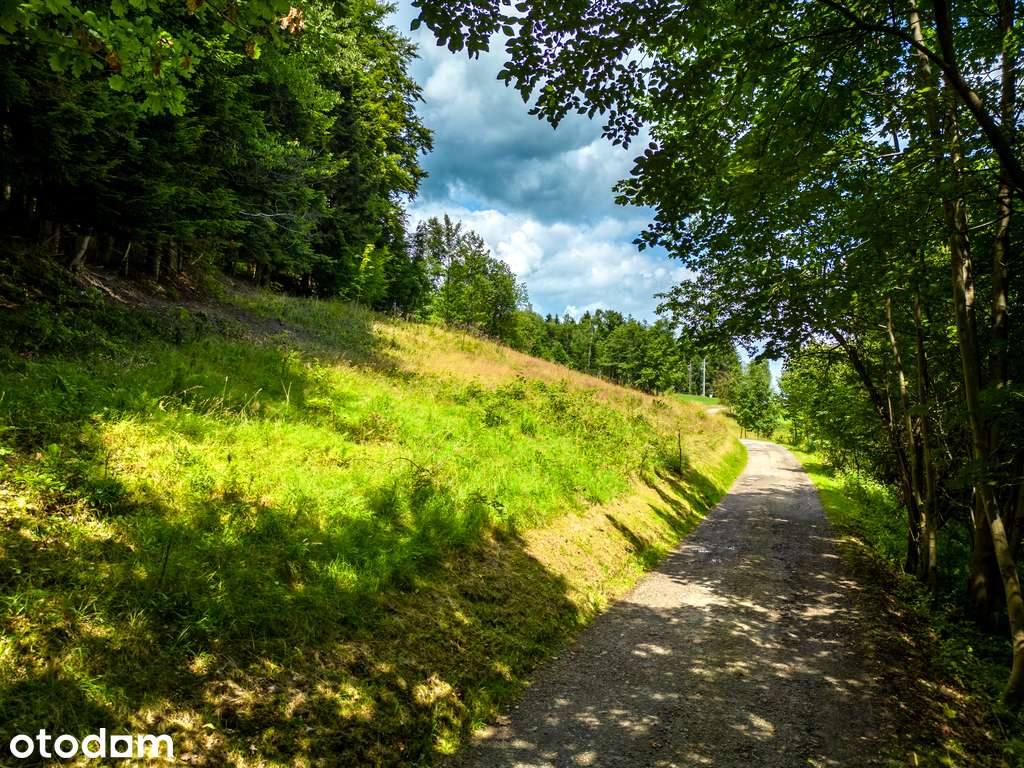 Działka rekreacyjna przy lesie, 3571 m2, cisza! - Pełny obrazek: 5/9