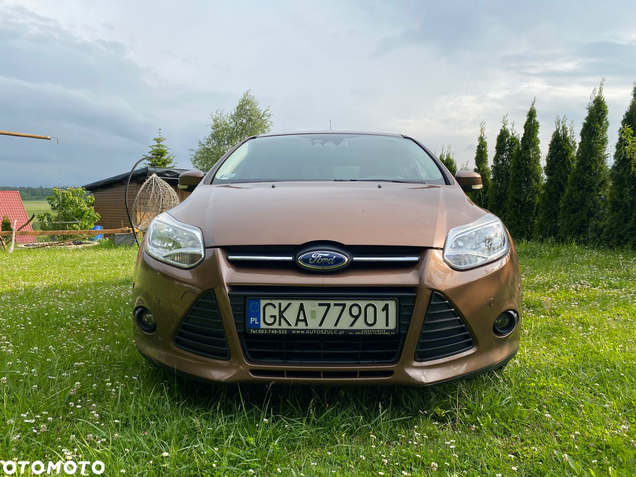 Ford Focus - 7