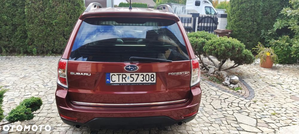 Subaru Forester 2.0X Automatik Exclusive - 5