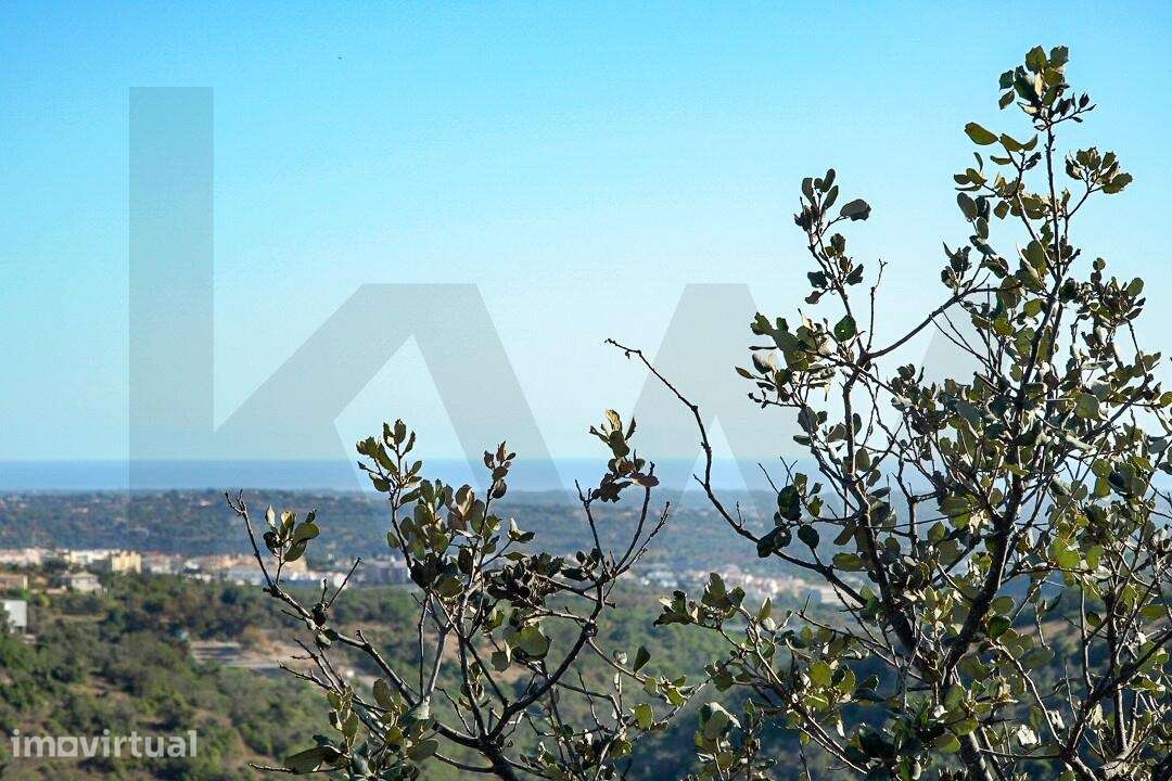Terreno Rústico 9646m2| São Sebastião | Loulé - Grande imagem: 5/33