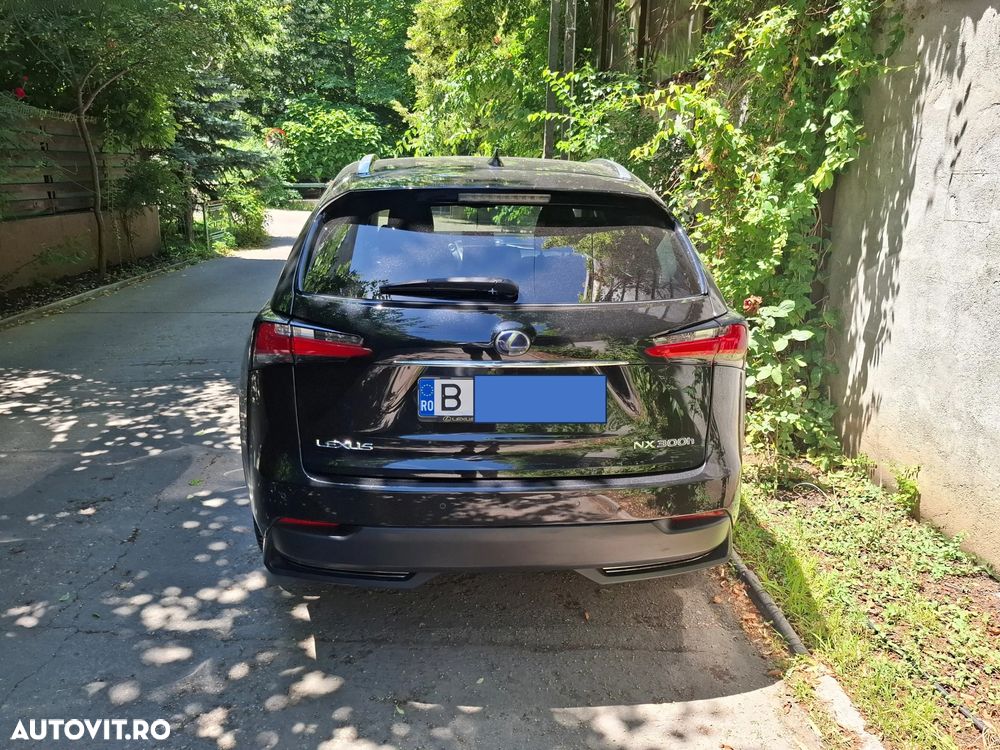 Lexus Seria NX - 2
