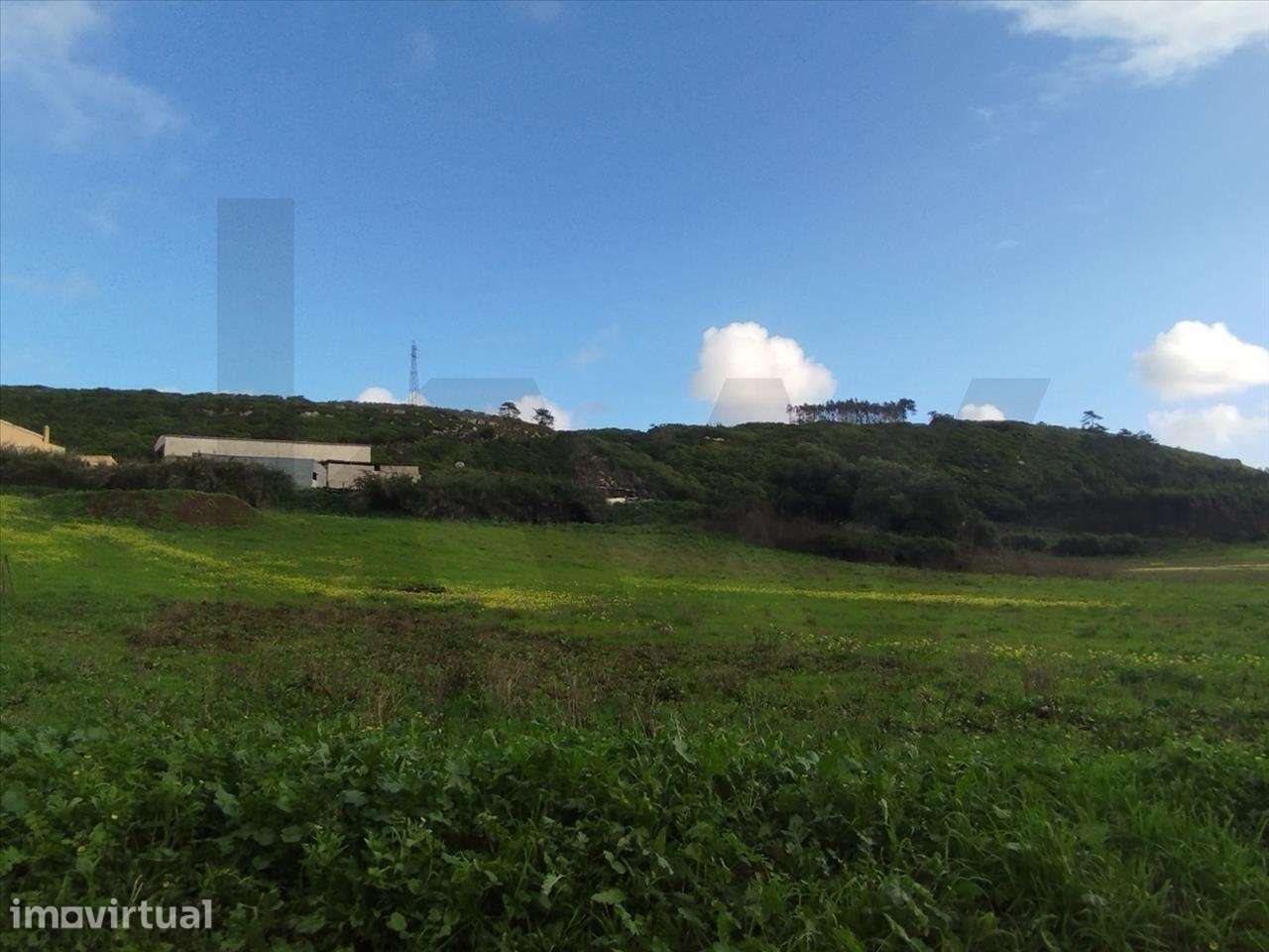Terreno Rústico com 55680 m2 na Lourinhã - Grande imagem: 4/4