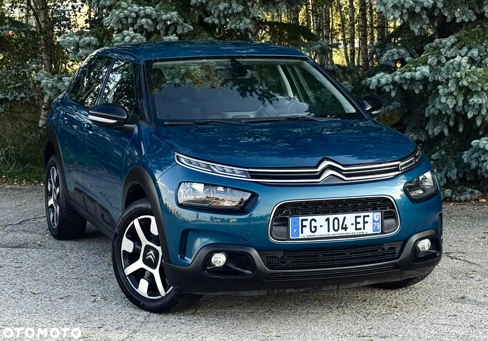 Citroën C4 Cactus - 5