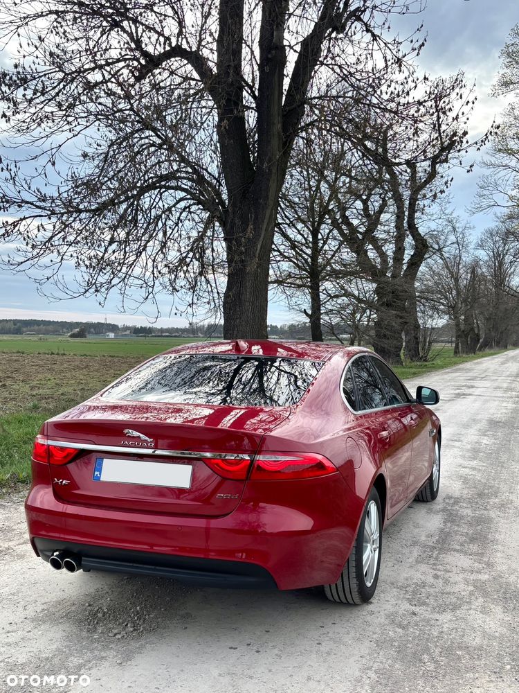 Jaguar XF 2.0 i4D Prestige - 5