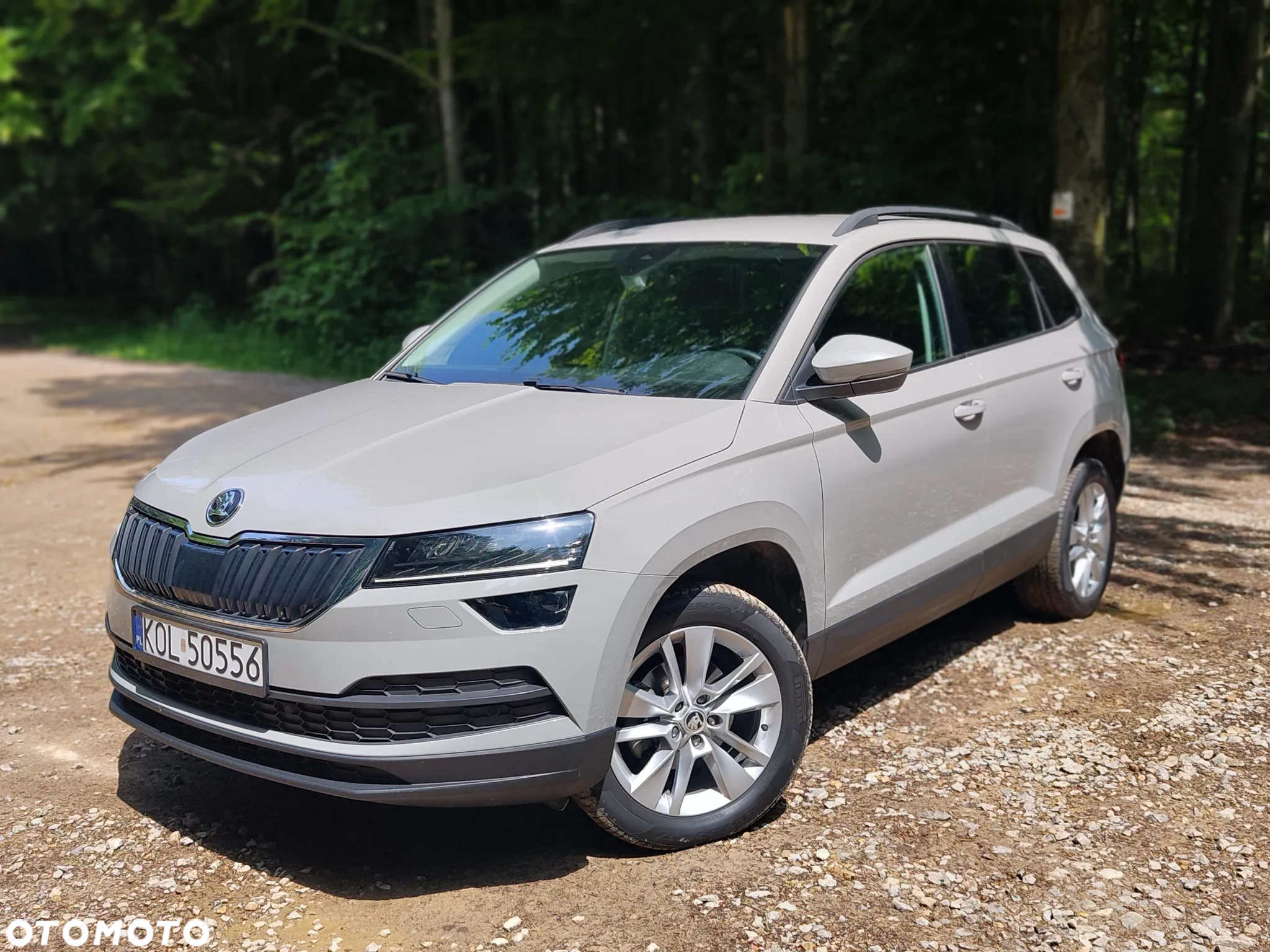 Skoda Karoq - 2