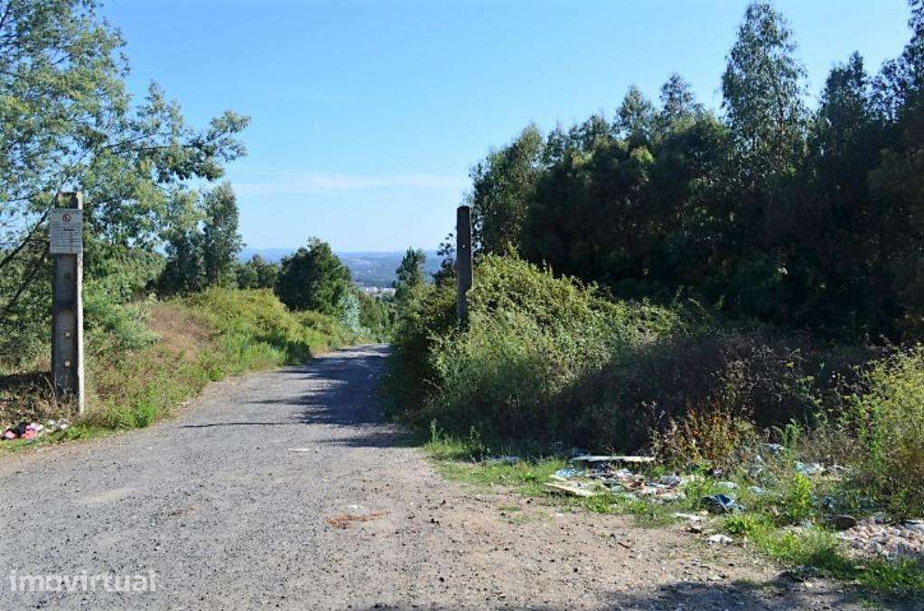 Terreno Rustico C/ 25.000m2 com viabilidade para construção em Gondoma - Grande imagem: 3/10