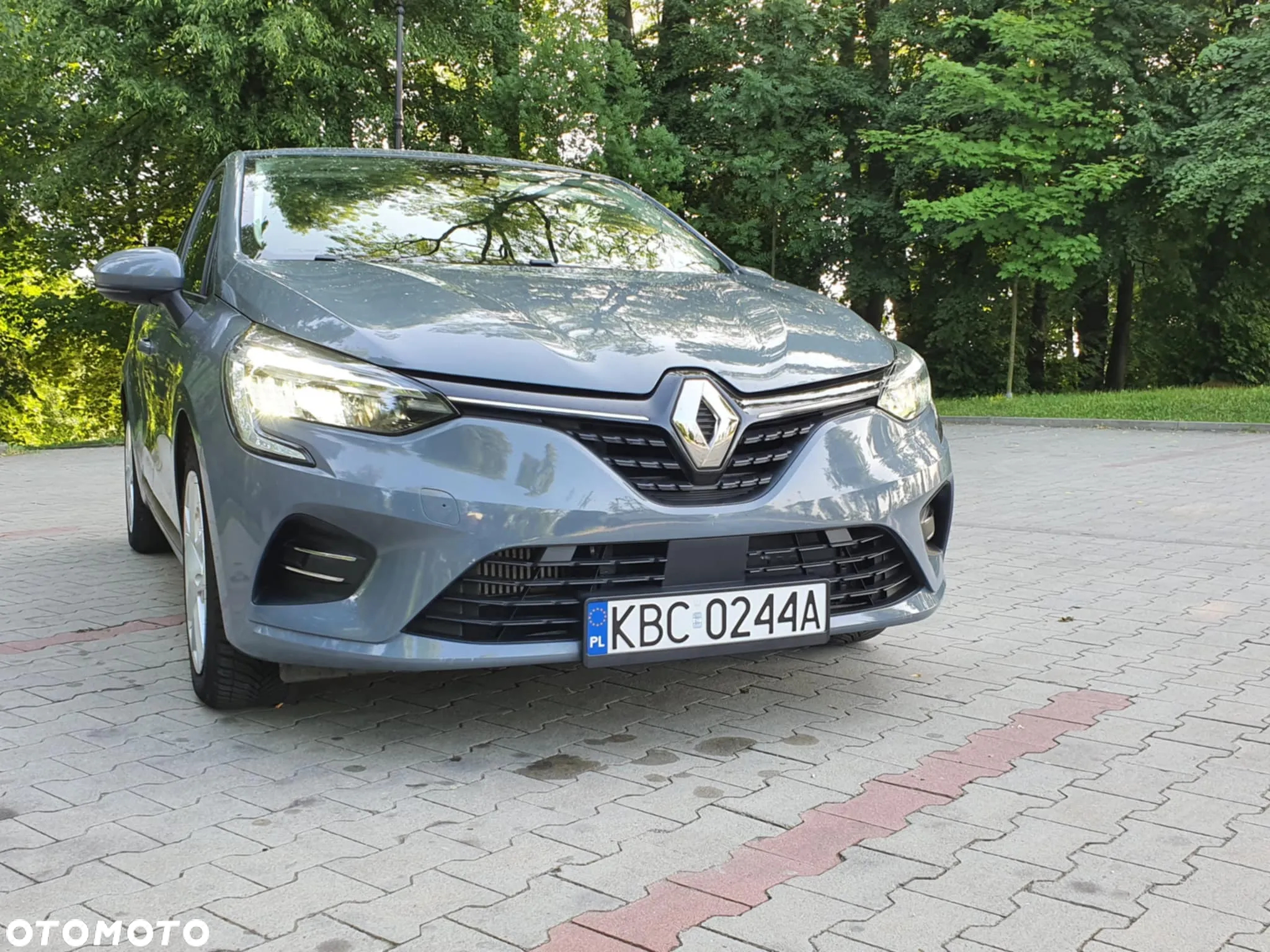 Renault Clio - 14