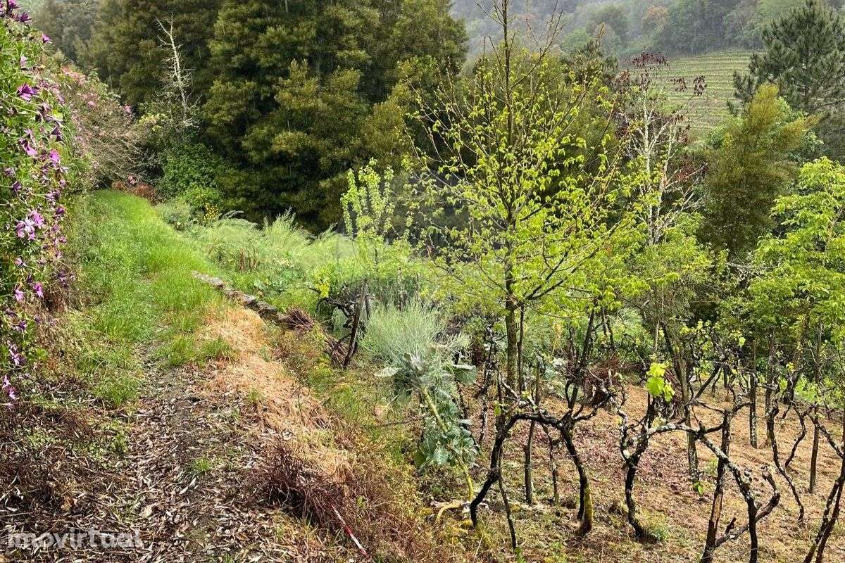Terreno  para venda - Grande imagem: 2/3