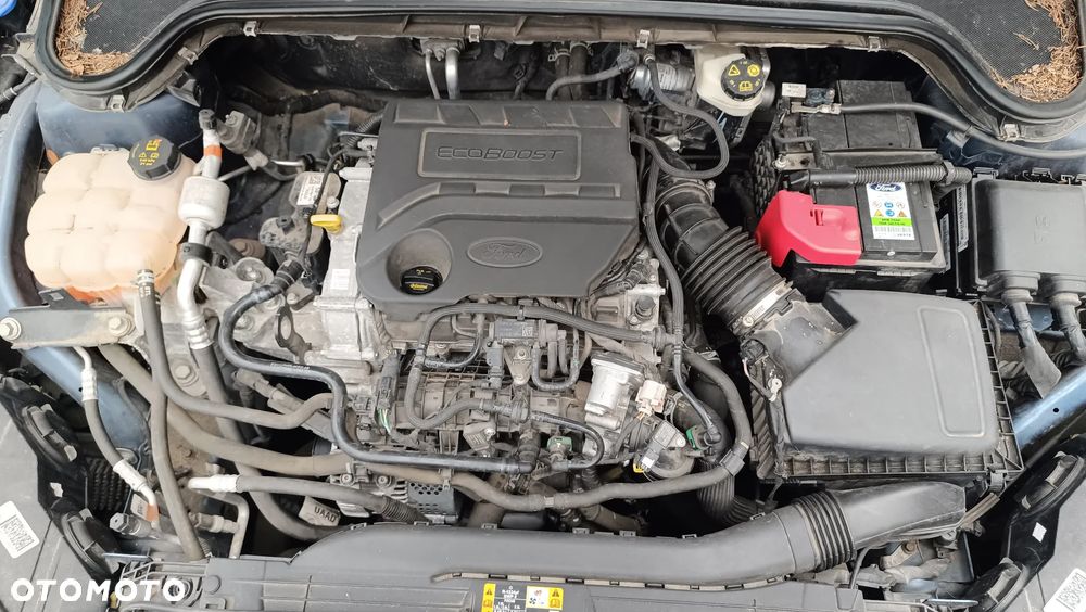 Ford Focus - 3