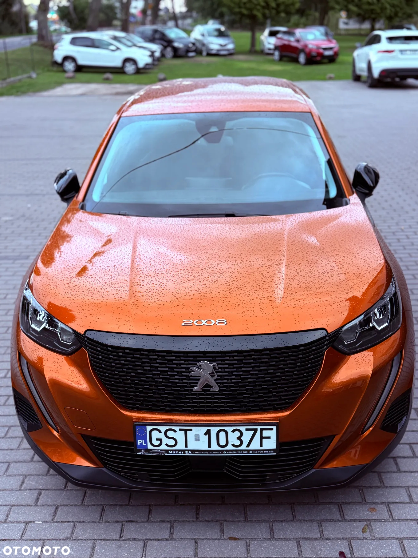 Peugeot 2008 1.2 PureTech Active Pack S&S EAT8 - 13